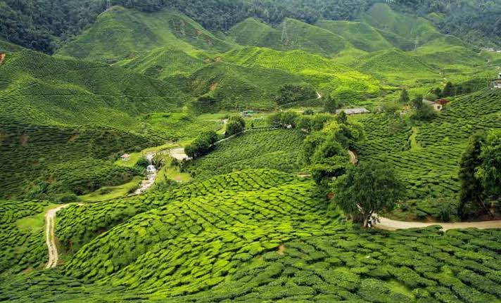 Arunachal Pradesh Toor Packeg
